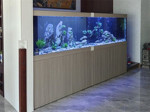 轻奢极简龙缸