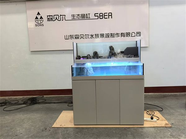 浅灰水陆溪流缸